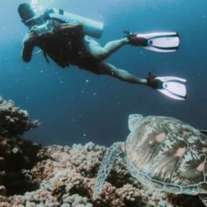 Aqualand Diving Center