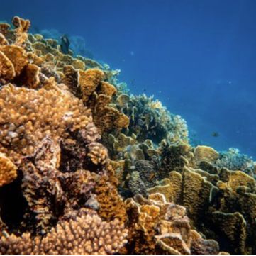 Fiskardo Diving Center