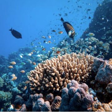 Ionian Dive Center