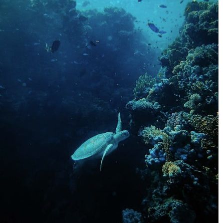 MILOS Diving Center