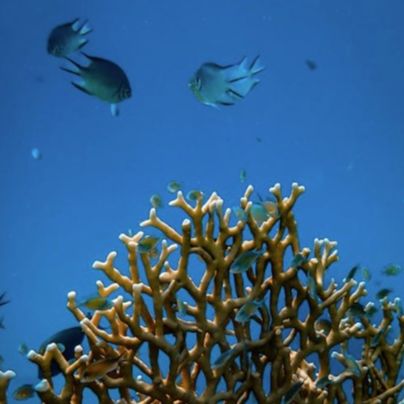 Diving Store, Agia Marina