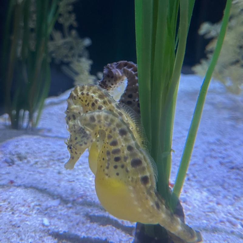 Stay Wet Diving Center